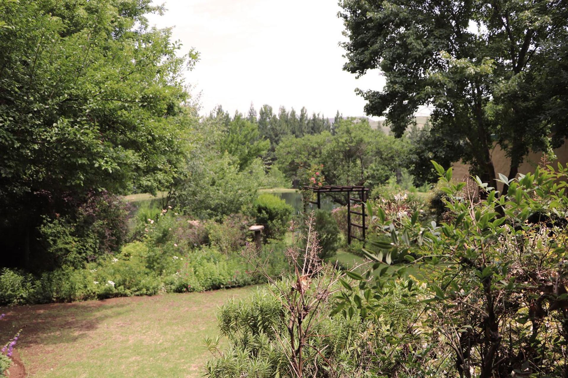 Schaefers' Halt Hotel Dullstroom Exterior photo